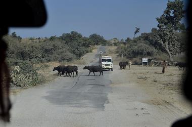 03 PKW-Reise_Ranakpur-Deogarh_DSC4717_b_H600